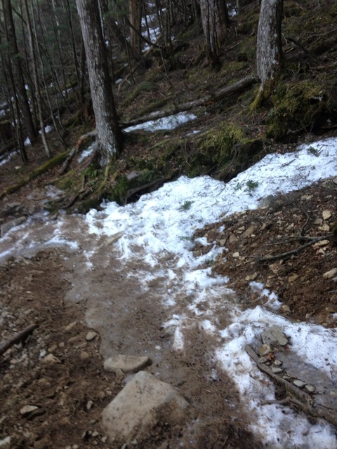 2014-05-04-06-20-09