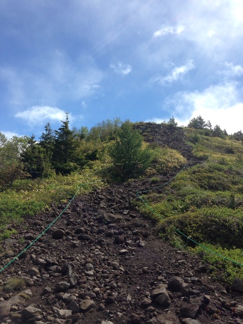 2015-06-06-08-48-31
