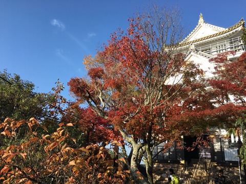 2016-11-13-08-24-18