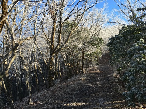 2015-12-29-08-51-01