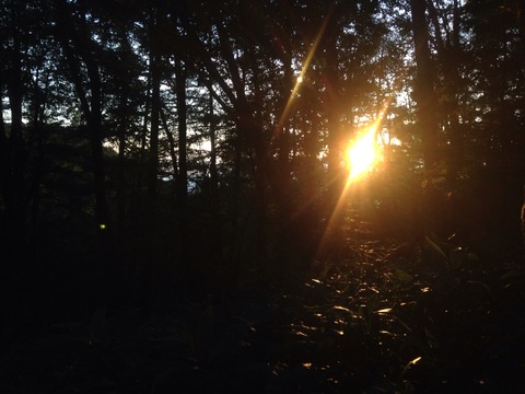 2015-09-05-05-32-44