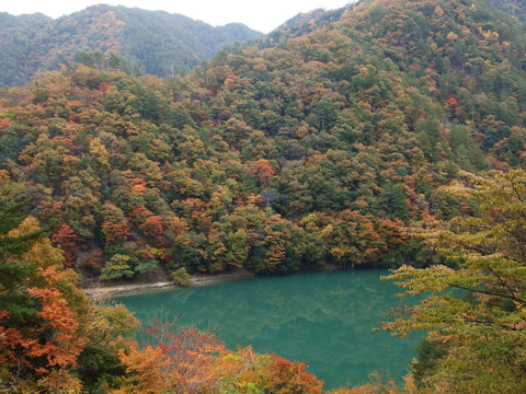 DSCF4425
