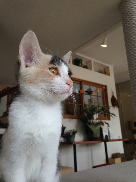 2015-11-01-12-33-40