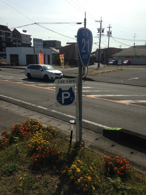 2015-11-01-11-56-09