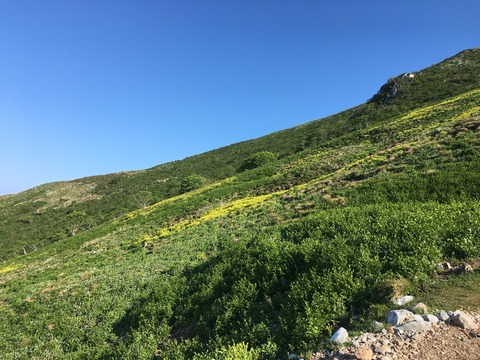 2016-05-21-07-05-54