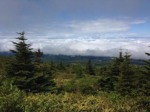 2015-06-06-08-41-07
