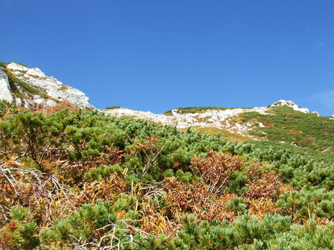 DSCF4158