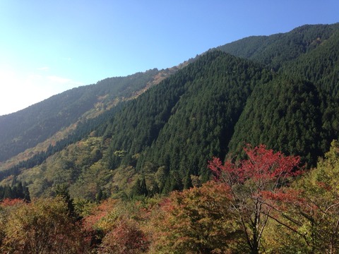 2014-10-25-09-08-28