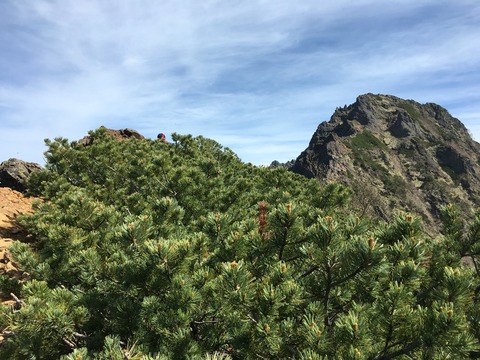 2016-06-11-09-09-08