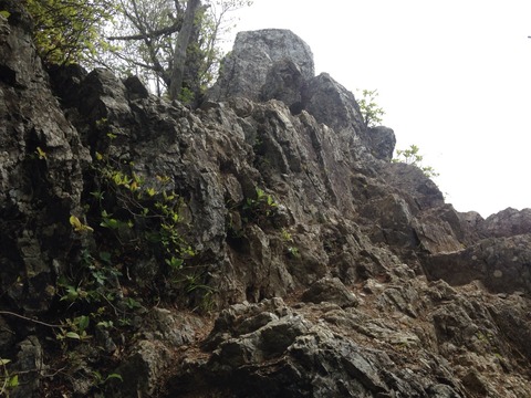 2015-05-22-09-04-17