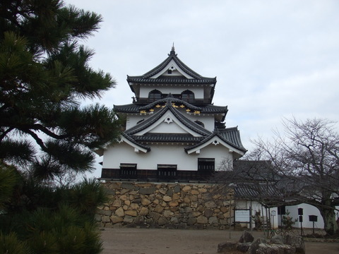 DSCF4541