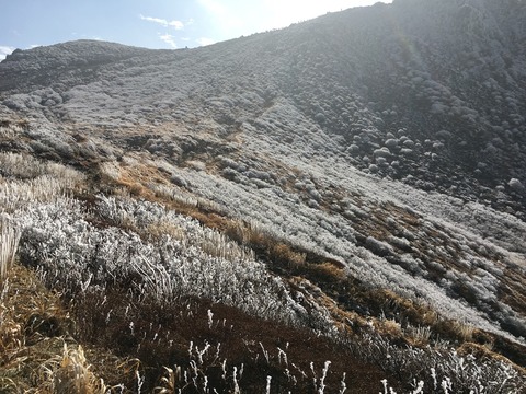 2015-12-27-11-56-58