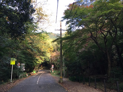2016-11-13-07-47-00