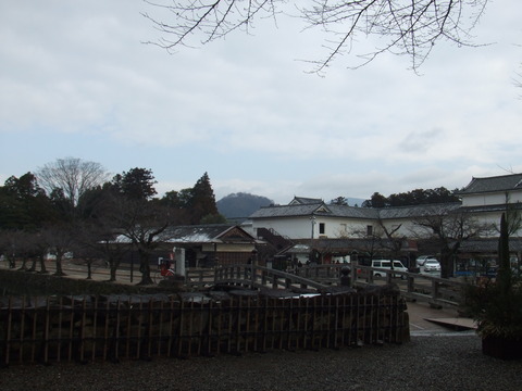 DSCF4539