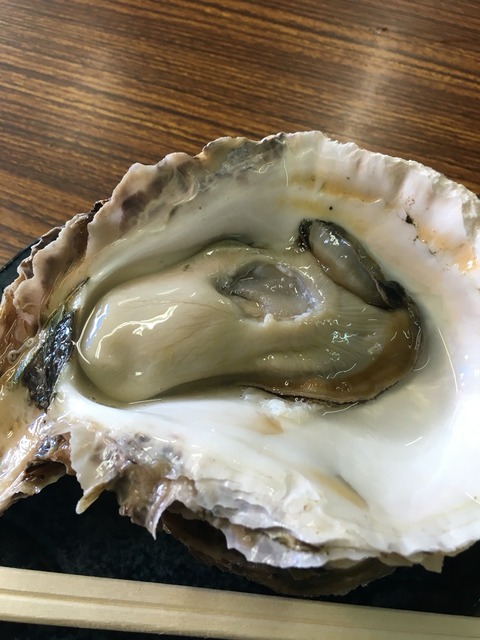 2016-07-16-14-16-26