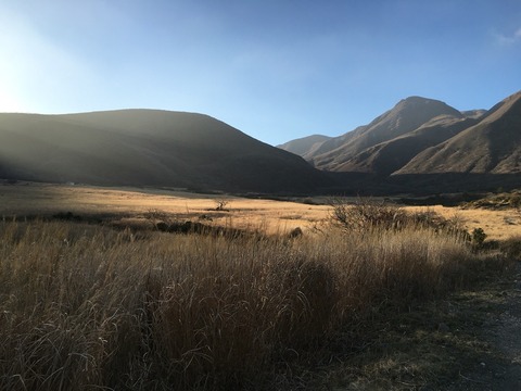 2015-12-28-08-17-40