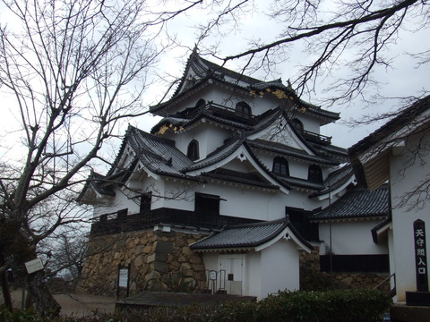 DSCF4542