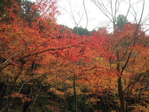 2014-11-30-12-26-34