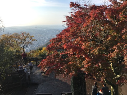 2016-11-20-08-19-03