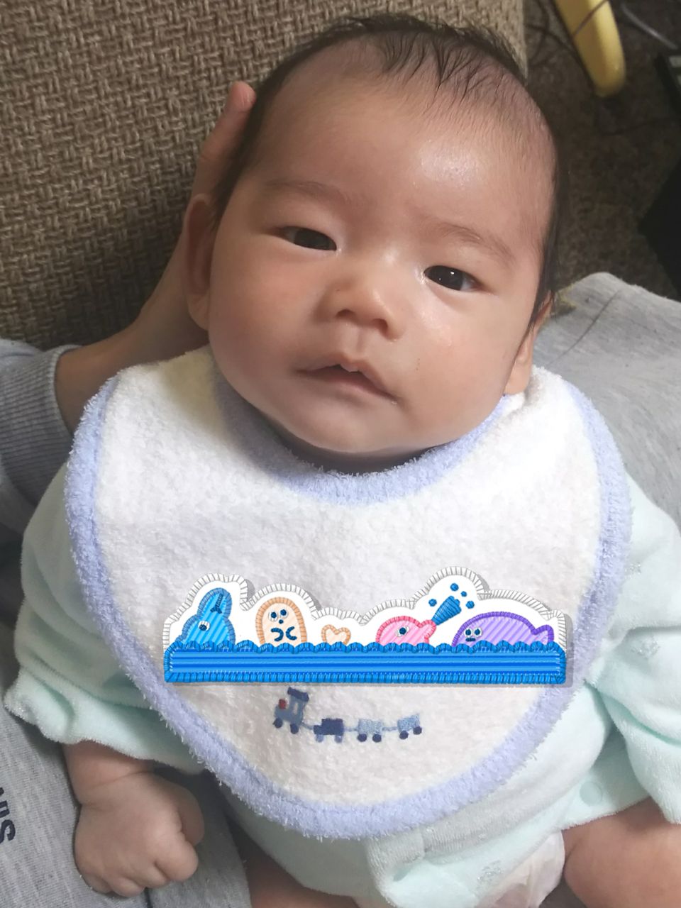 かなりん日記 Mensa会員iq164で元塾講師の教育ママ ファミリア Familiar名前入りスタイ ネームオーダーよだれかけ かなりん日記 Mensa会員iq164で元塾講師の教育ママ ファミリア Familiar名前入りスタイ ネームオーダーよだれかけ
