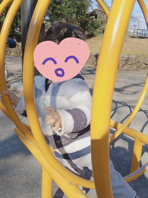 line_1585406683535