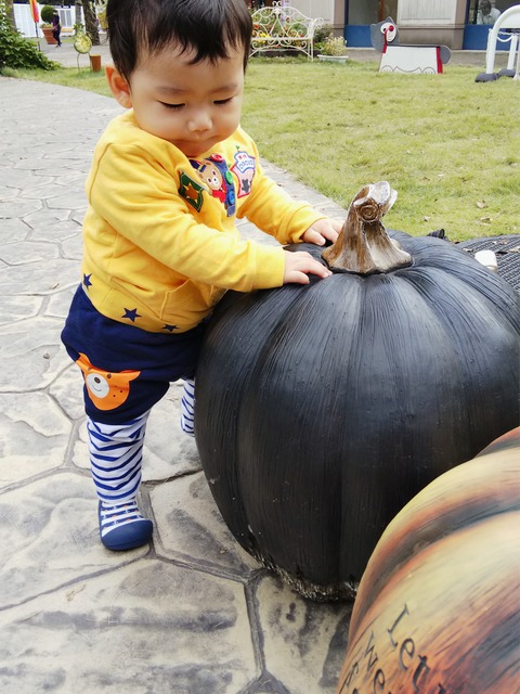 18-10-28-19-54-48-676_deco