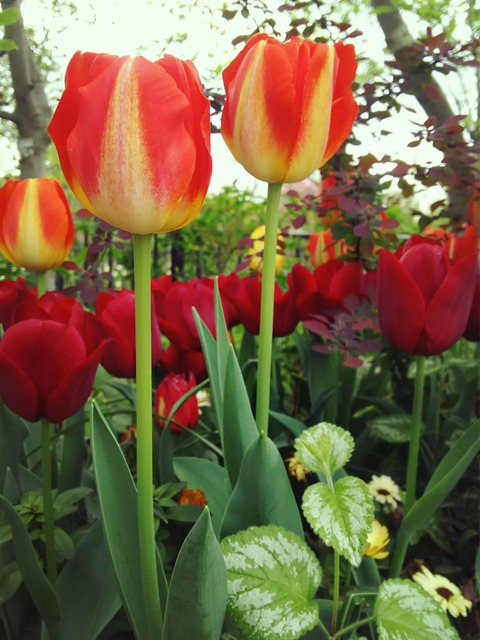18-04-12-16-35-18-570_deco