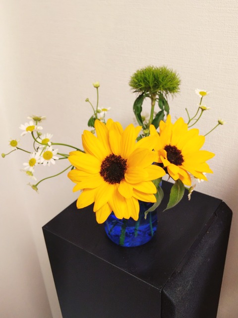 20-04-10-17-12-08-083_deco
