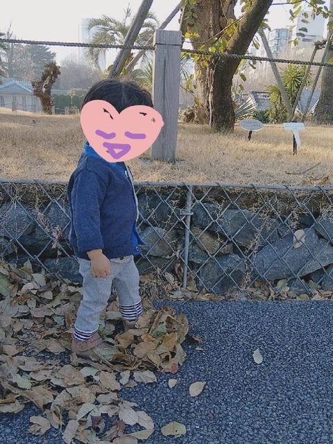 line_1585406754132