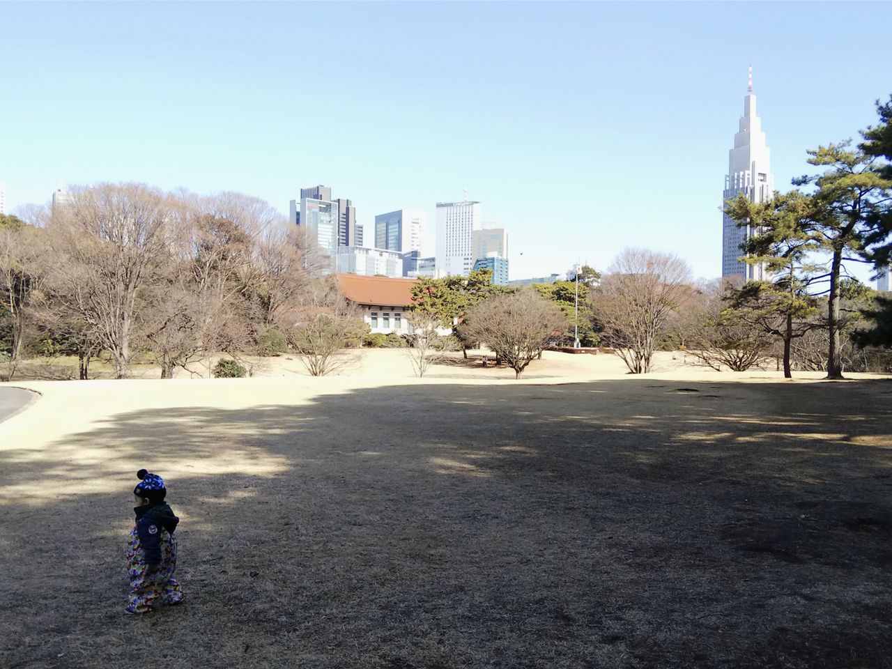 かなりん日記 Mensa会員iq164で元塾講師の教育ママ 明治神宮の芝生広場 かなりん日記 Mensa会員iq164で元塾講師の教育ママ 明治神宮の芝生広場