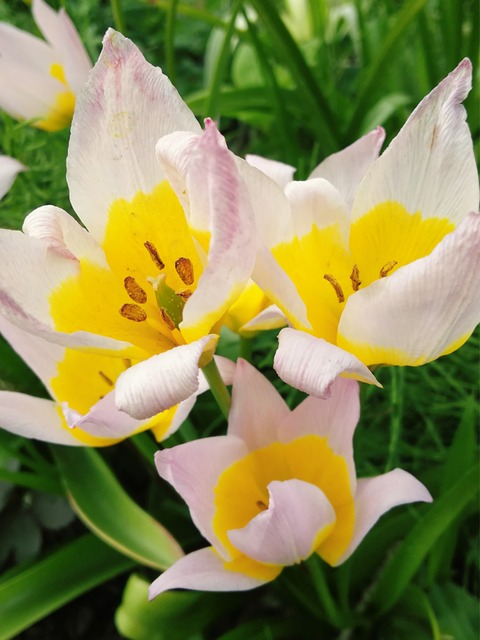 18-04-12-16-36-01-385_deco