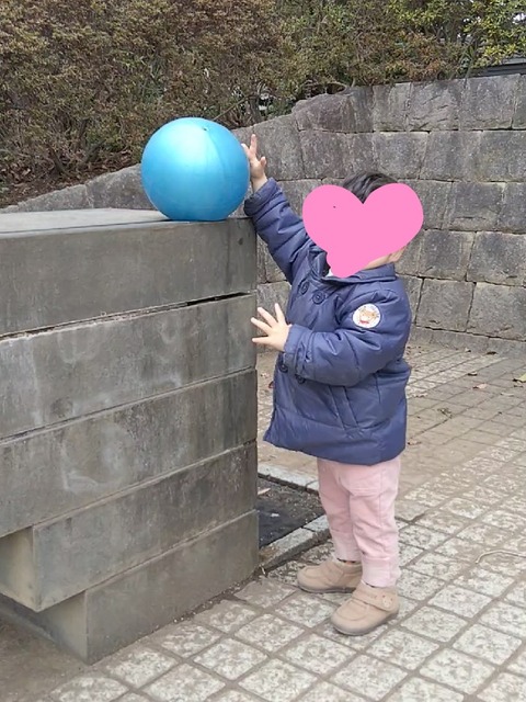 line_1583749969357