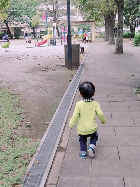 line_1583714259212