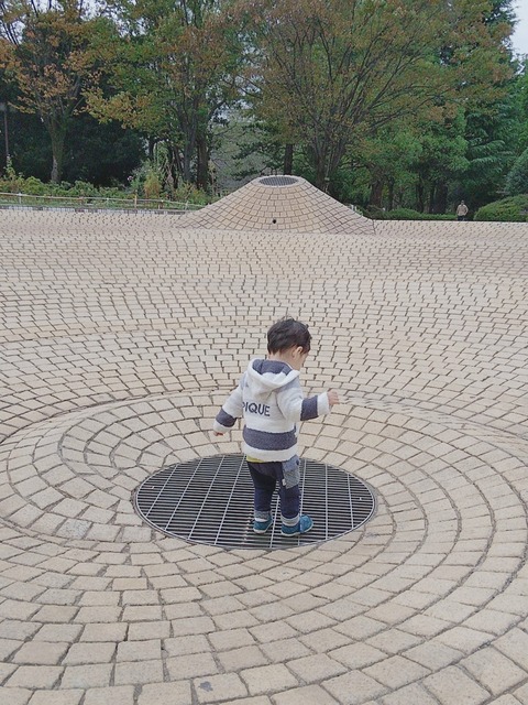 line_1583750184852