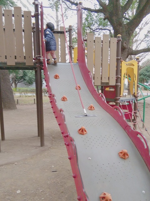line_1583750498587