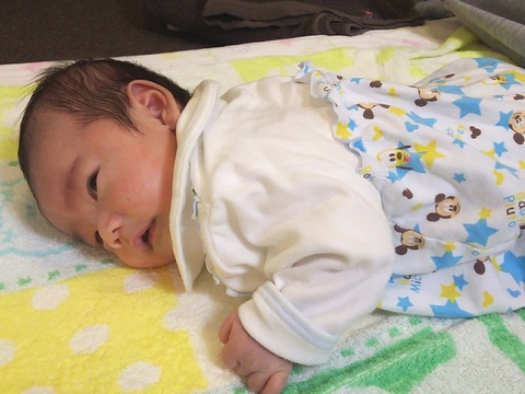 かなりん日記 Mensa会員iq164で元塾講師の教育ママ うつぶせ首上げ運動 生後１ヶ月