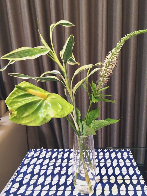 20-06-19-21-41-19-083_deco