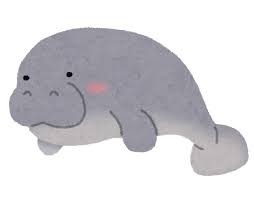 【悲報】水族館のマナティ♂、発情した兄弟にケツ穴を襲われ死亡