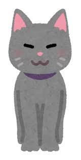 【画像】ネコってなんで飼い主をこんなふうに見てんの？