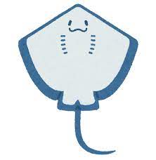 【感動】エイさん、飛翔ｗｗｗｗｗｗｗ