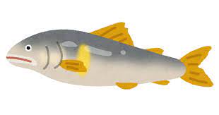 【画像】アユ釣り、あまりにも危険すぎる