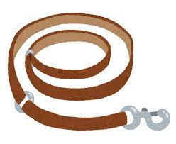 【悲報】自転車に乗った男性、犬のリードと絡まり飼い主が転倒　1570万円の賠償命令