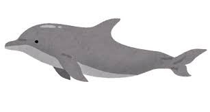 【画像】イルカさんムッキムキで草ｗｗｗｗｗｗ