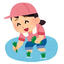 【動画】女の子さん、田植えでじいじを道連れにするｗｗｗｗｗ