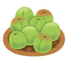 【訃報】ポケットに青梅27個入れた男性、公園で救助され搬送先の病院で死亡