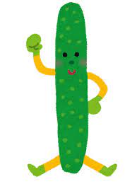 【朗報】「きゅうり」が世界一栄養がない野菜でギネス認定という話は誤解だった