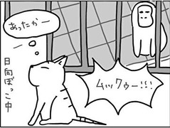 06_03