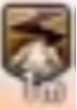 tuti