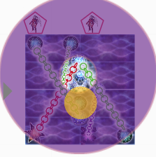 scs2b2