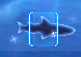 光る魚影